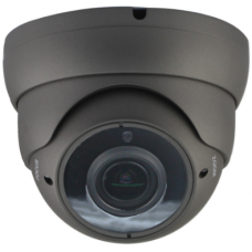 Dome IP-camera 2 Megapixel instelbare lens antraciet