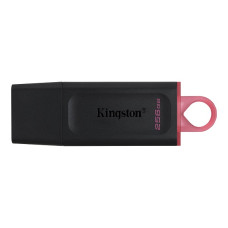 Kingston DataTraveler Exodia, 256 GB